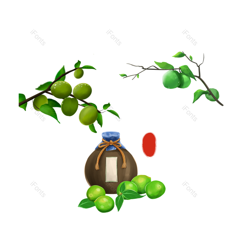 端午图片,插画元素,树叶PNG,树枝免抠素材